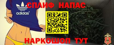 прущие грибы Краснознаменск