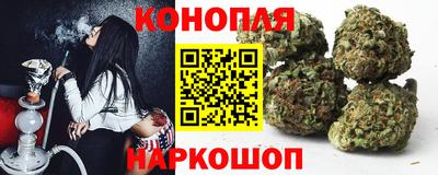 прущие грибы Краснознаменск