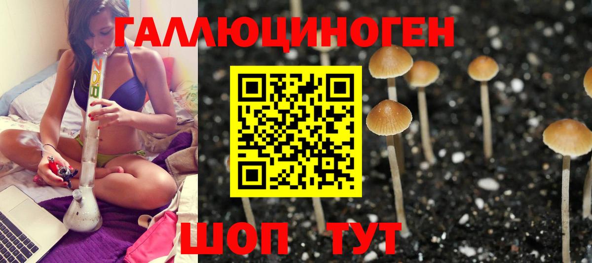 Псилоцибиновые грибы Psilocybine cubensis Джанкой